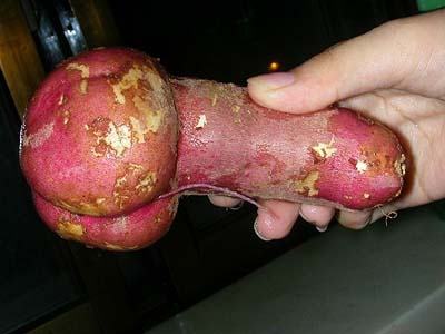 Obrázek phallic potato