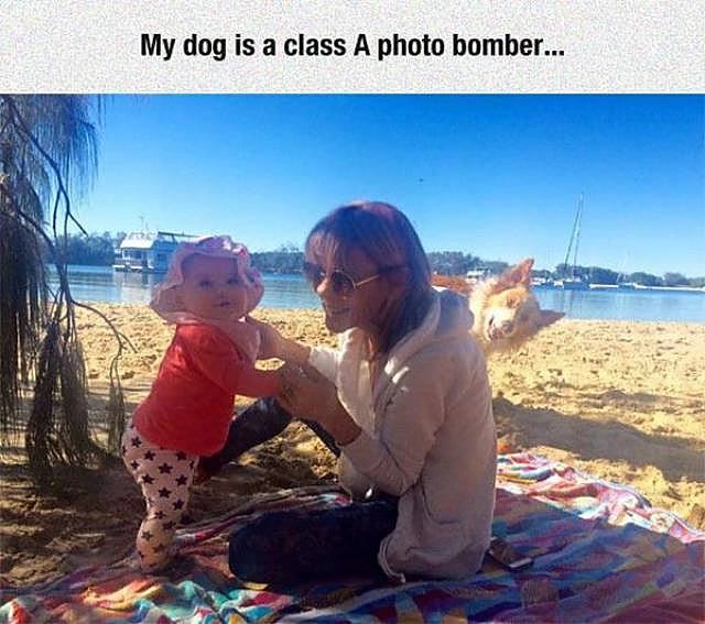 Obrázek photo bomber class A