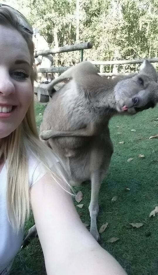 Obrázek photobomb selfie 