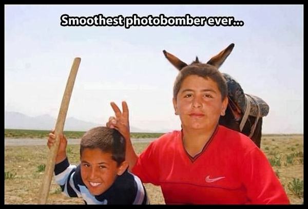 Obrázek photobomber   