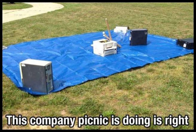 Obrázek picnic 540