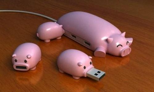 Obrázek pig usb