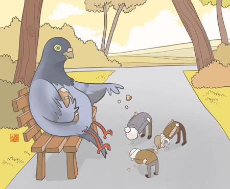 Obrázek pigeon-feeding