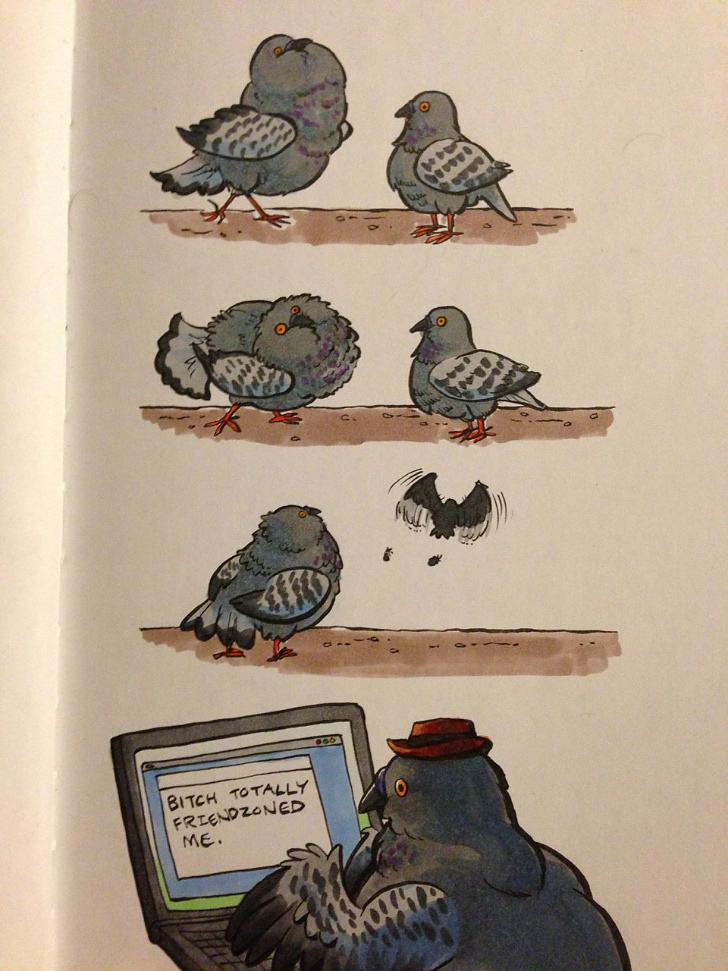 Obrázek pigeon romance