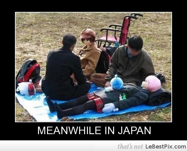 Obrázek piknik po japonsku