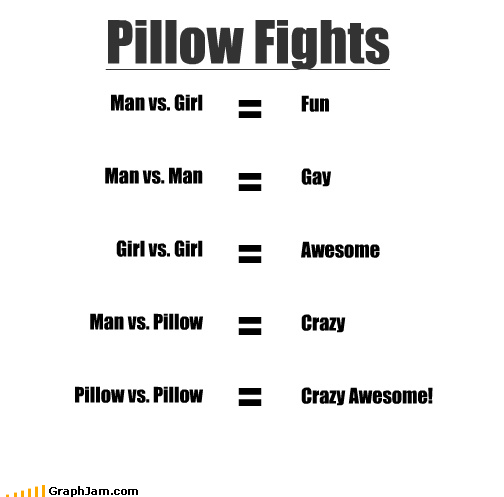 Obrázek pillow fights