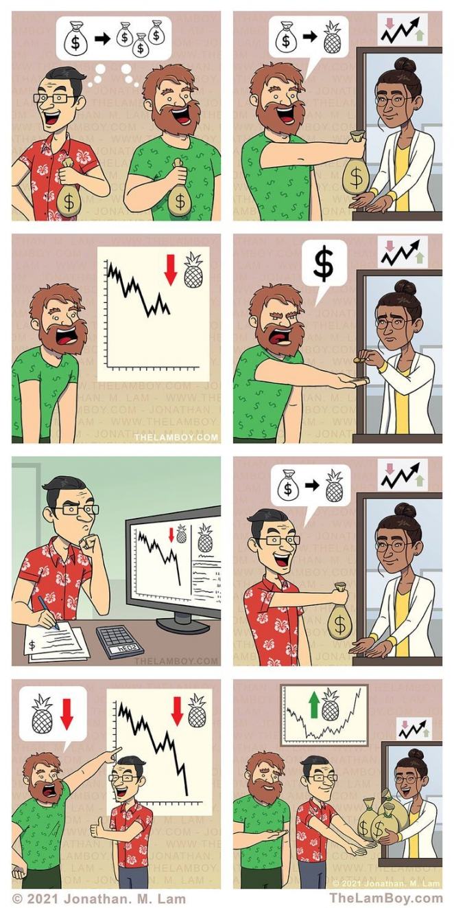 Obrázek pineapple investor