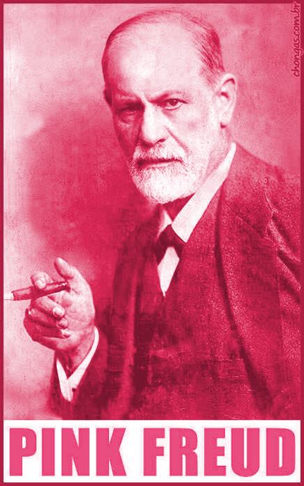 Obrázek pink freud