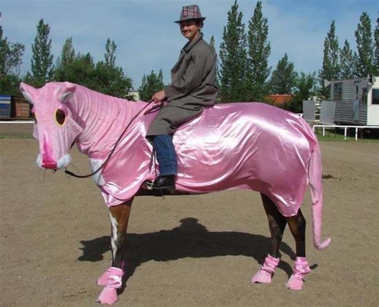 Obrázek pink horse