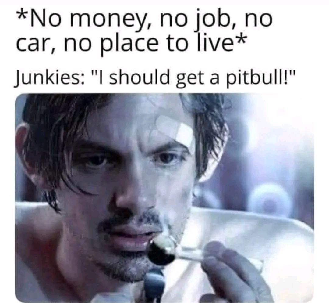 Obrázek pitpes