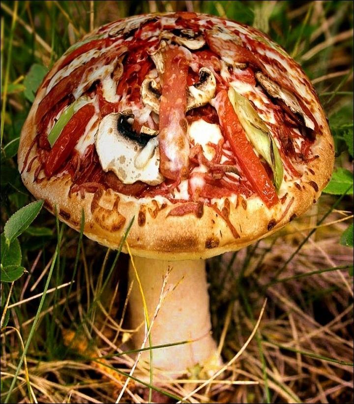 Obrázek pizza