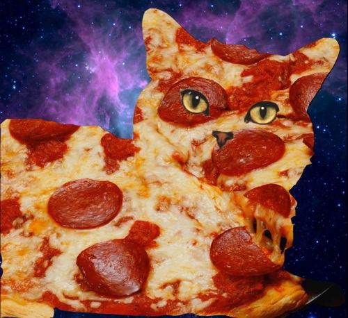 Obrázek pizzacat