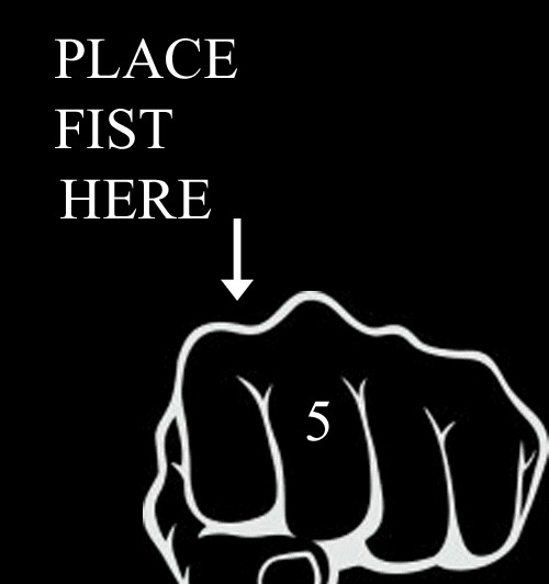 Obrázek place fist here