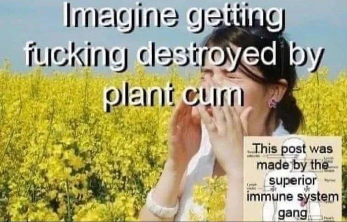 Obrázek plant cum