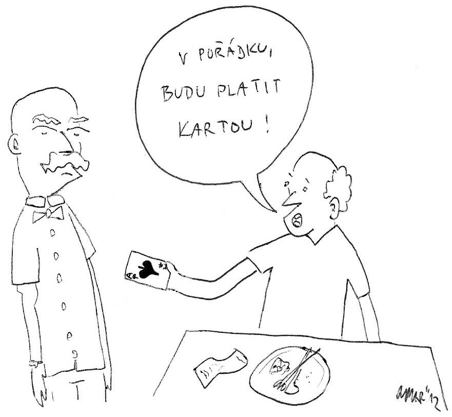 Obrázek platim kartou