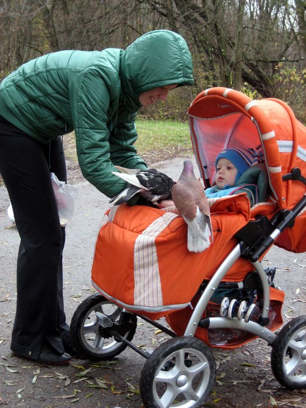 Obrázek podivej mrtvej ptacek