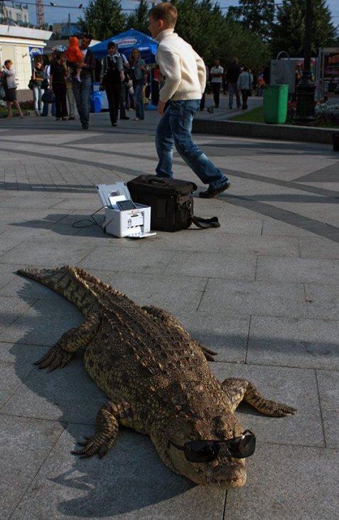 Obrázek pohoda na dlazbe