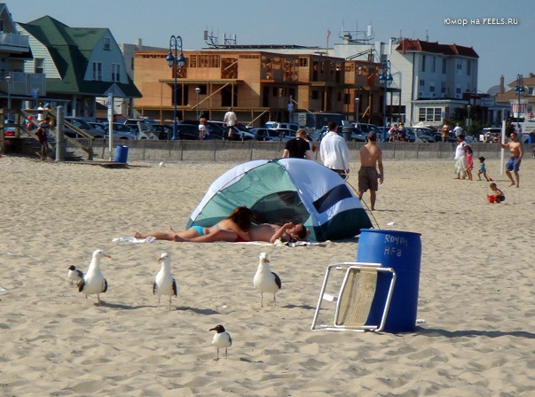 Obrázek pohoda na plazi