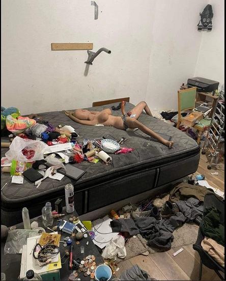 Obrázek pokojicek roumenisty nebo roumenistky