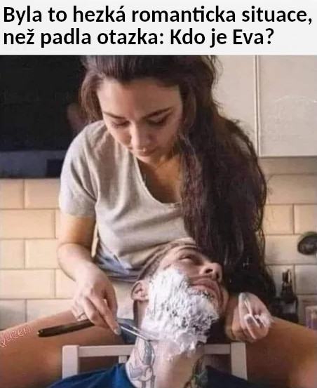 Obrázek pokracovani v masu