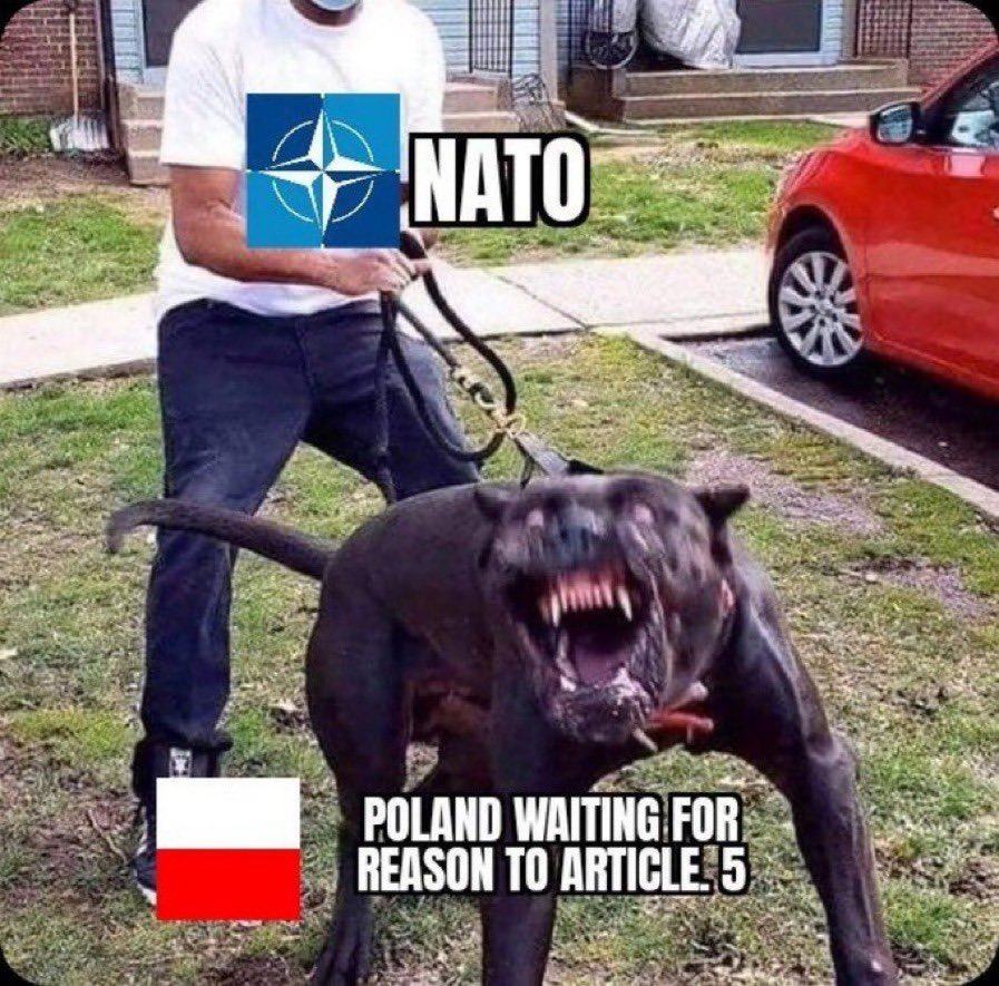 Obrázek poland&nbsp;waiting