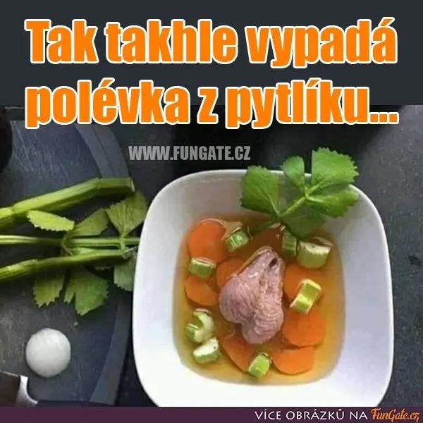 Obrázek polepyt