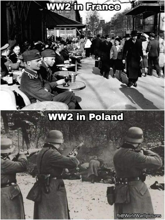 Obrázek polfrawwii