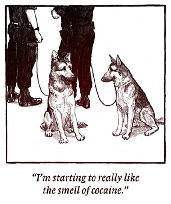 Obrázek police dogs