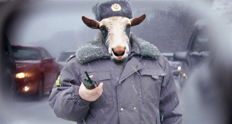 Obrázek policista