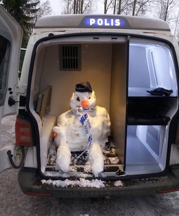 Obrázek polis huhulak
