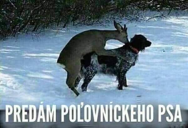 Obrázek polopes