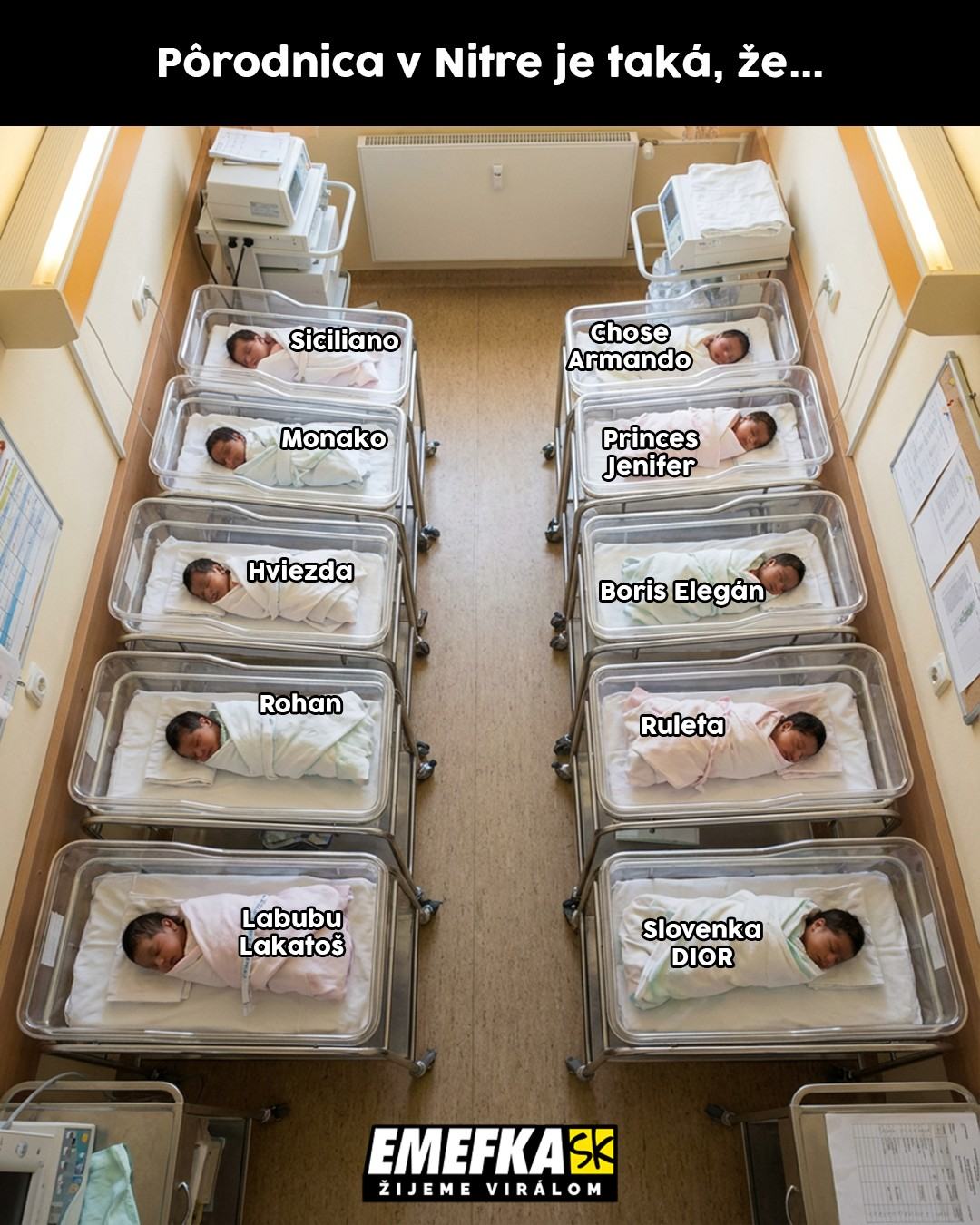 Obrázek poloslovaci