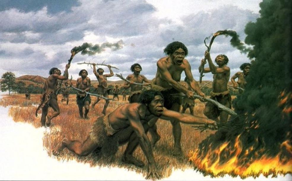 Obrázek pomenuj obrasek