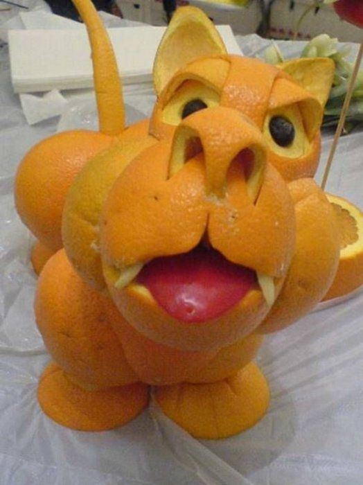 Obrázek pomerancovej pes
