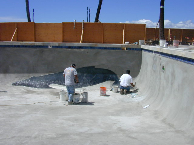 Obrázek pool 01