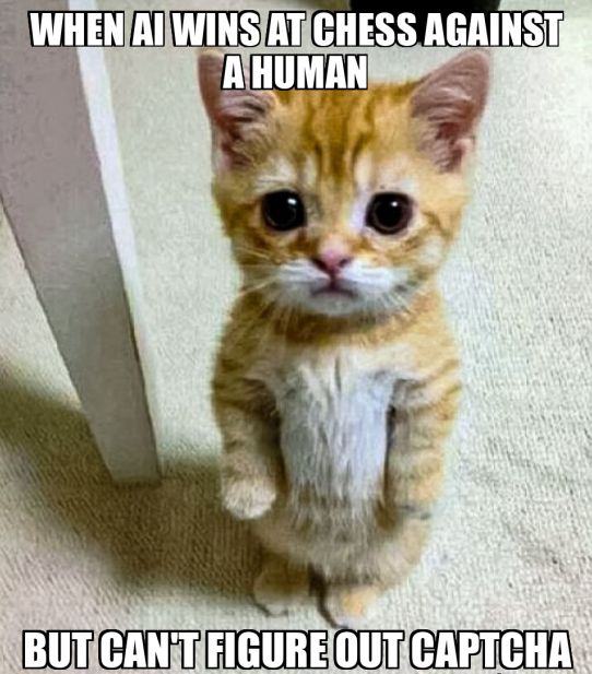 Obrázek poor&nbsp;AI