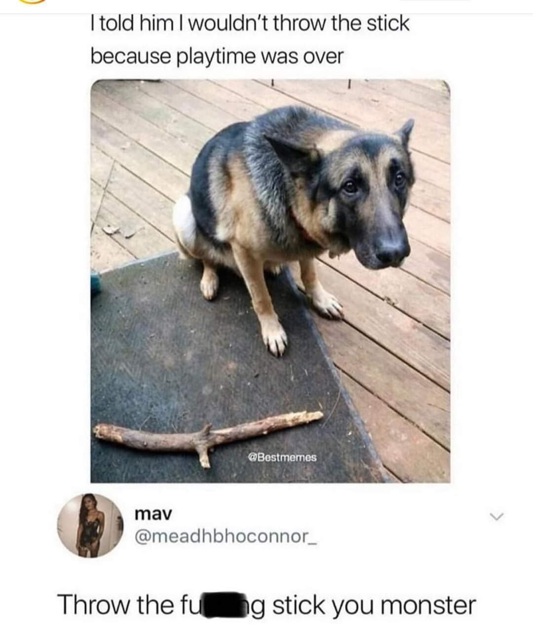 Obrázek poor doggo