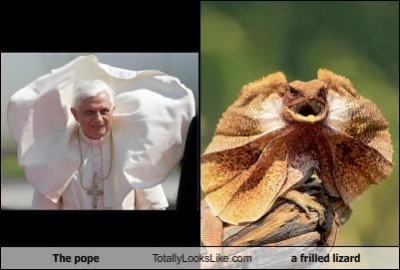 Obrázek pope vs lizard