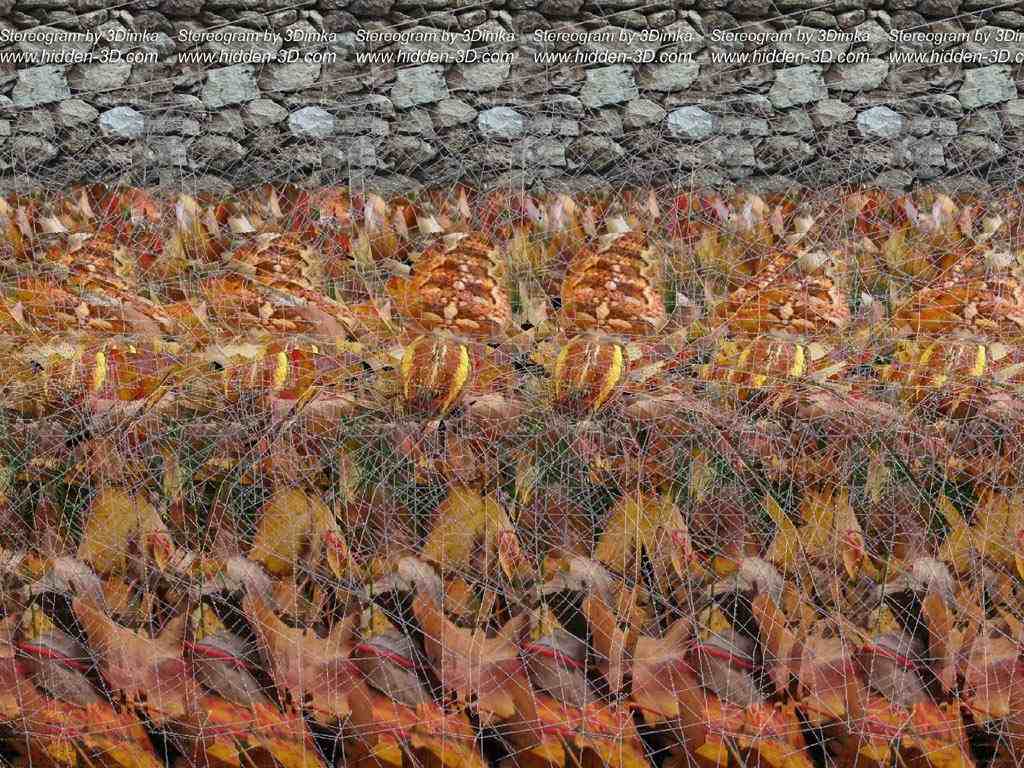 Obrázek poradnej stereogram