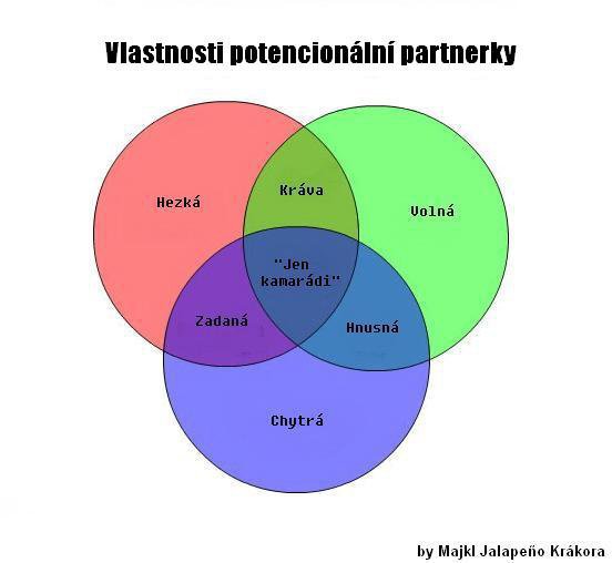 Obrázek potencialni partnerky