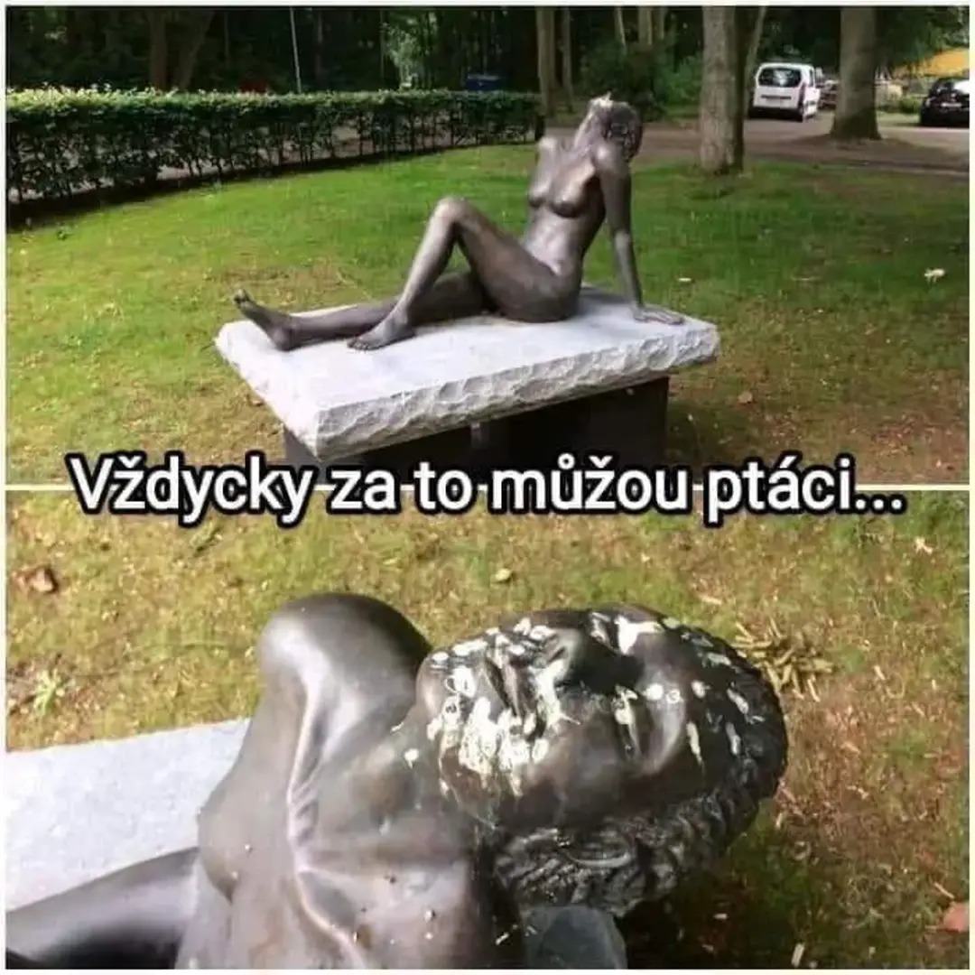 Obrázek pouze ptaci za to mohou