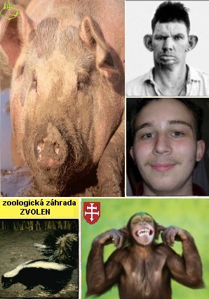 Obrázek pozdravy z pohledy05