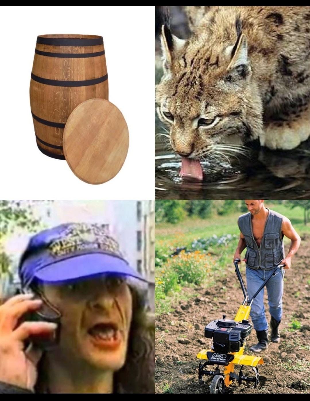 Obrázek poznej pisen    