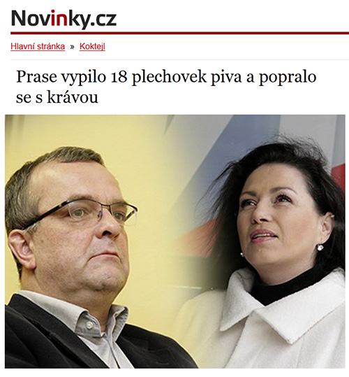 Obrázek prase a krava