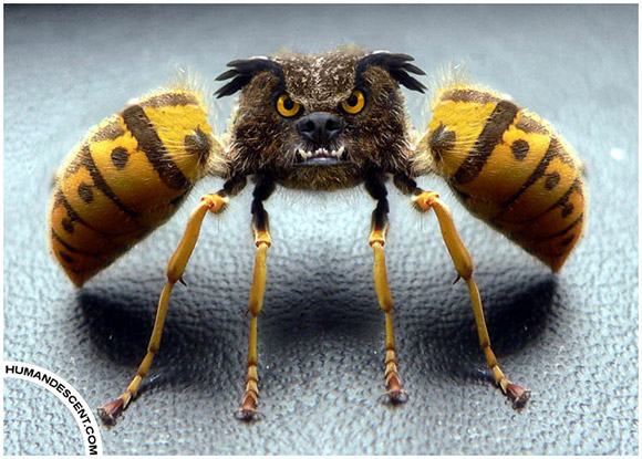 Obrázek pratt 26whitney R1830 Twin-Wasp