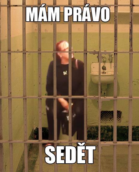 Obrázek pravo sedet