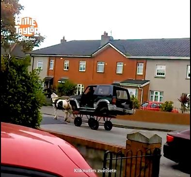 Obrázek pravy cikansky terenak