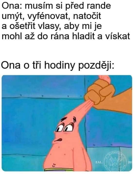 Obrázek pravy roumenista nepochopi