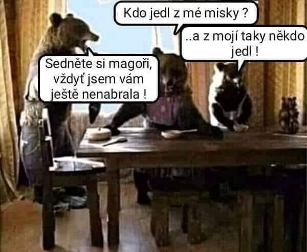 Obrázek prazdna miska