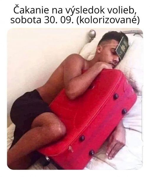 Obrázek pred volbami